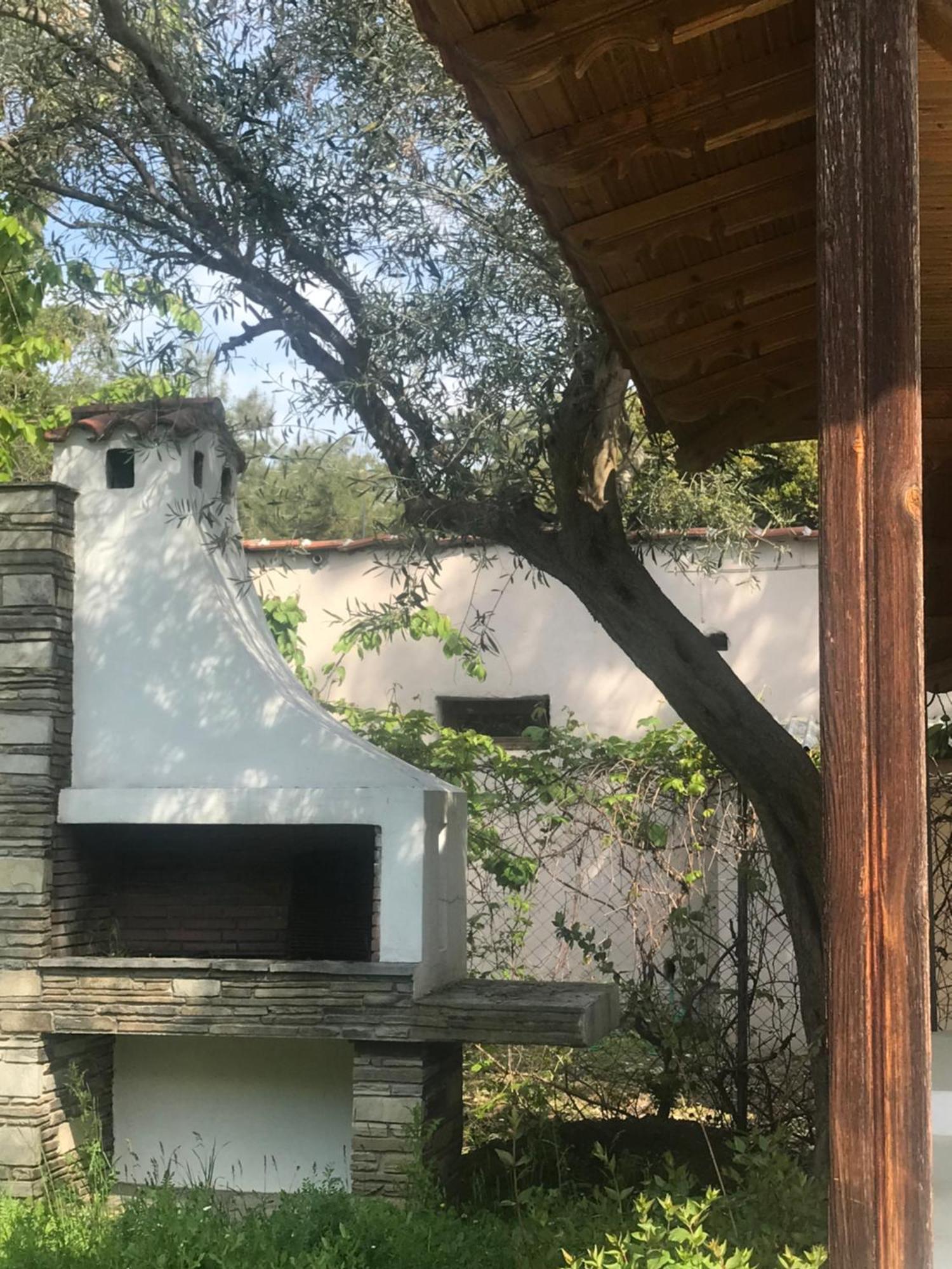 Zeusplace Seaside Home Private Beach And Parking Πλάκα Λιτόχωρου Εξωτερικό φωτογραφία