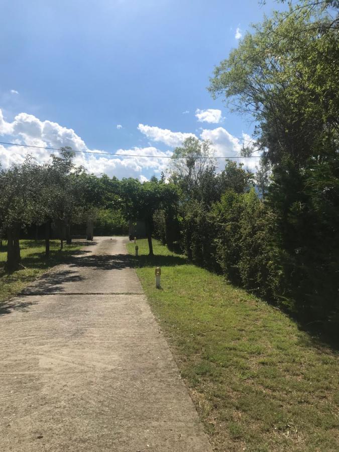 Zeusplace Seaside Home Private Beach And Parking Πλάκα Λιτόχωρου Εξωτερικό φωτογραφία