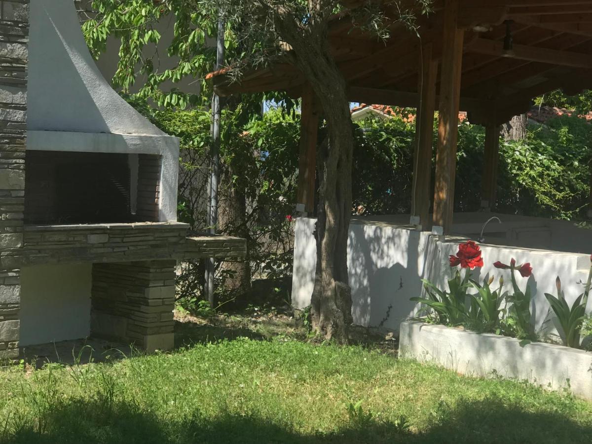 Zeusplace Seaside Home Private Beach And Parking Πλάκα Λιτόχωρου Εξωτερικό φωτογραφία